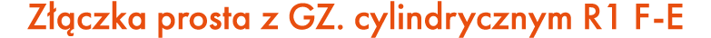 Z czka prosta z GZ. cylindrycznym R1 F E